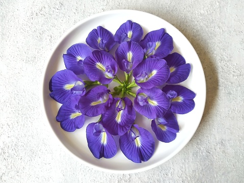 Defocused and noise image of butterfly blue pea flower on a white plate