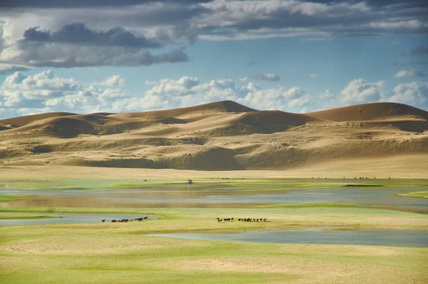 istock sand dunes of  lake Durgen Nuur 1428002865