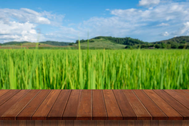 istock Empty wooden table with rice field and blue sky. 1428003957