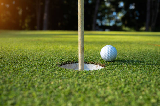 istock Golf ball on green grass in the evening golf course with sunshine background. 1428006631
