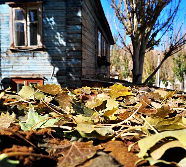 fall leaves - forest hut window autumn imagens e fotografias de stock