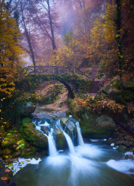 istock Waterfall in the Mullerthal during autumn 1428013426