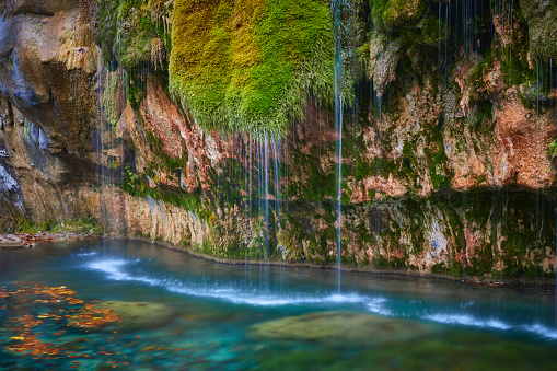 Kallektuffquell travertine Mullerthal during autumn, the water flows along the rock and moss into the basin. The water in the basin is clear and blue in color.