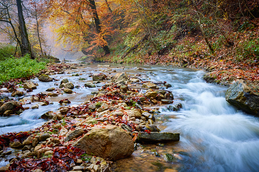 Waterfall in the Mullerthal during autumn, in the background you can see the trees in autumn colors. There are rocks in the water.