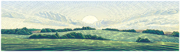 Rural landscape panoramic format drawn in graphical style. Rural landscape with sun and hills, panoramic format, drawn in graphical style and painted in color. Vector illustration. agricultural fields stock illustrations
