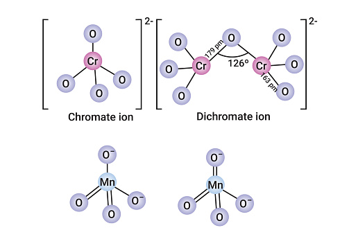 Dichromate ion and Chromate ion.