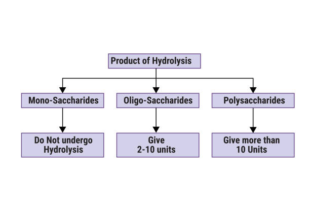 schemat blokowy produktu hydrolizy - hydrolysis stock illustrations