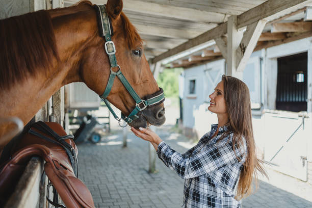 istock Young woman in a stable with her horse 1428025652