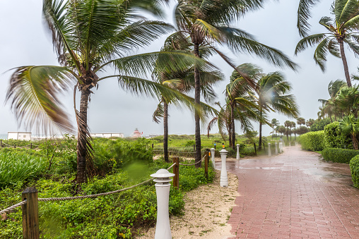 A lonely beachside path on a hurricane day in Miami Beach, Florida.