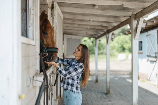 istock Young woman in a stable with her horse 1428026452