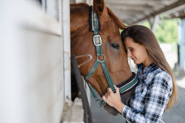istock Young woman in a stable with her horse 1428026535