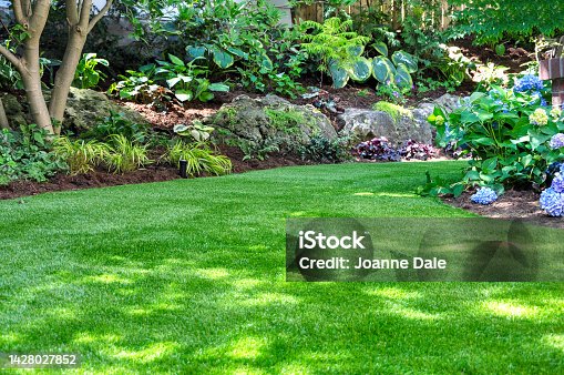 istock Artificial turf creates a natural look in a backyard garden. 1428027852
