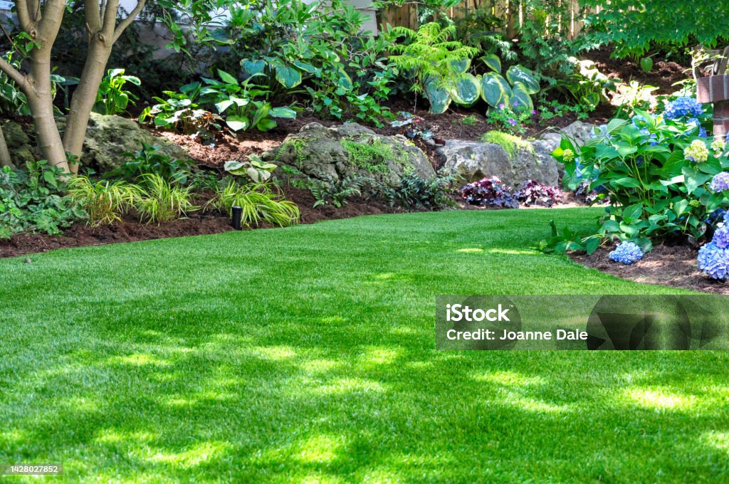 Artificial turf creates a natural look in a backyard garden. This beautiful backyard woodland garden features a maintenance free lawn made of realistic looking artificial grass, a huge landscaping trend for small spaces. Artificial Stock Photo