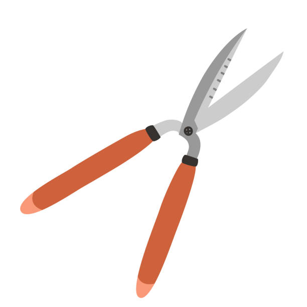 Garden scissors icon, hand tool for cutting brunches and hedges, vector illustration of hedge shears Garden scissors icon, hand tool for cutting brunches and hedges, vector illustration of hedge shears, isolated colored clipart on white background pruning shears stock illustrations