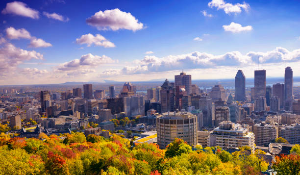 istock Montreal skyline with autumn foliage 1428038577