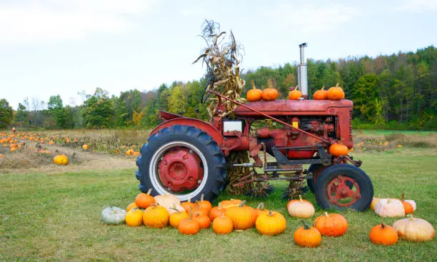 Photo of Tractor with pumpkins.