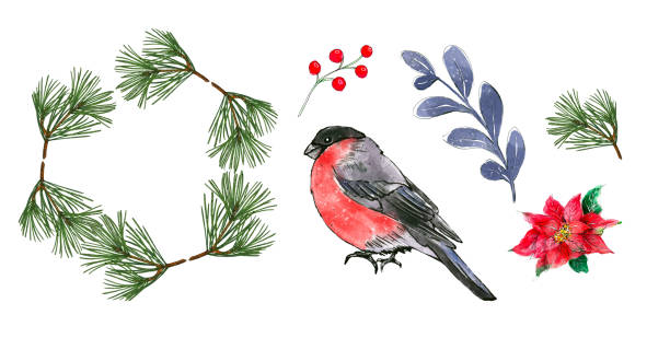 istock Set of watercolor Christmas elements. Greenery branches, poinsettia, red berries and bullfinch. 1428041313