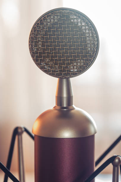 Professional microphone for sound recording, macro photography.
