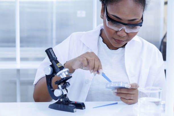 istock black female doctor student examining and analysis virus test sample on microscope. young biotechnology specialist working in lab. medical science laboratory hospital. 1428049332