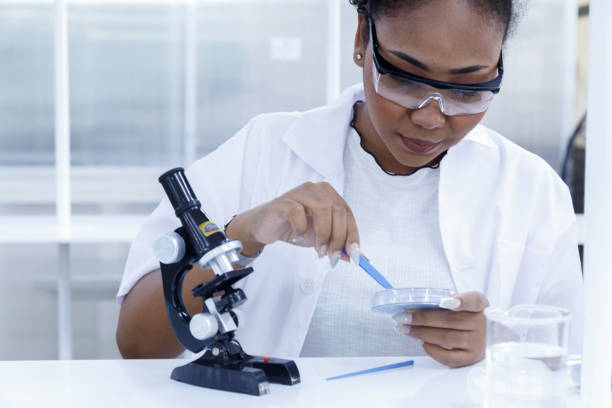 istock black female doctor student examining and analysis virus test sample on microscope. young biotechnology specialist working in lab. medical science laboratory hospital. 1428049595