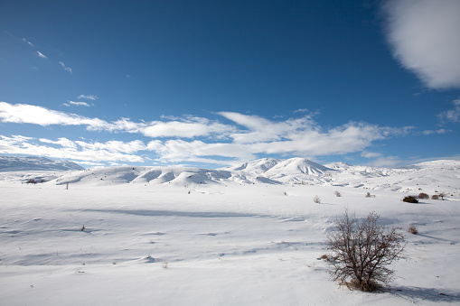 Dreamy winter landscape.