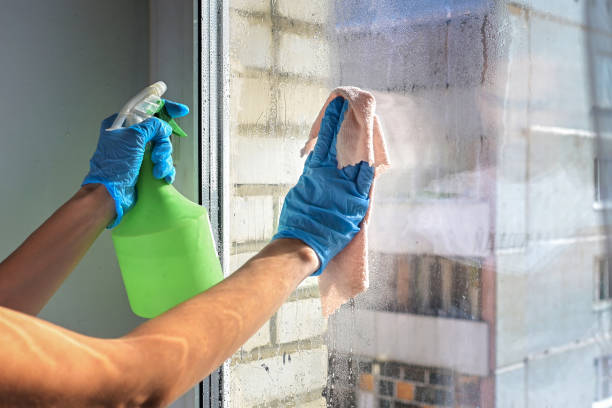 istock Cleaning window pane with detergent, spring cleaning concept 1428053938