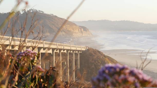 istock Bridge on pacific coast highway, Torrey Pines beach sunset, California road trip 1428054511