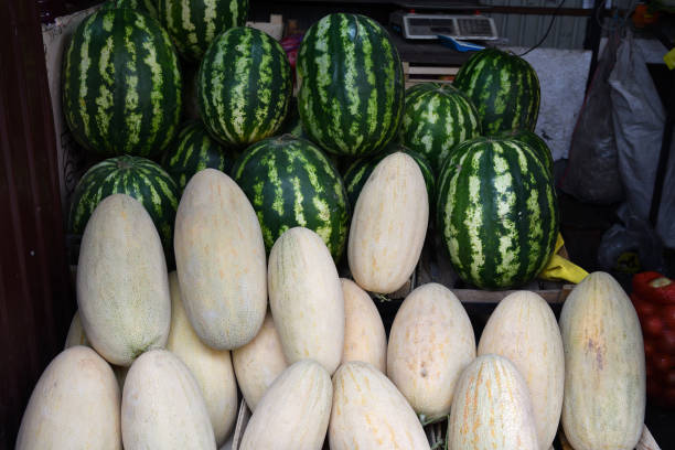 Melons and watermelons sold in Kyrgyzstan. Central market in Bishkek. Osh open air market