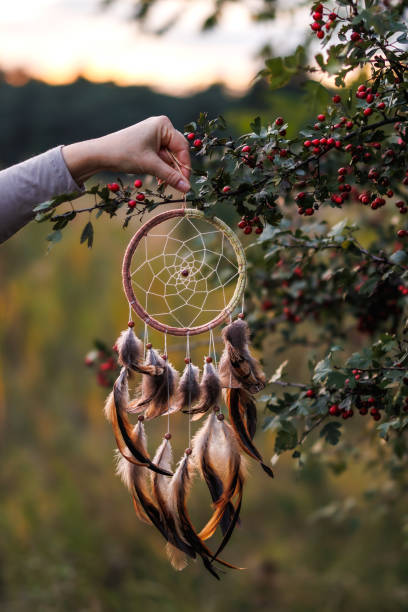 istock Woman hanging dream catcher on hawthorn tree 1428056417