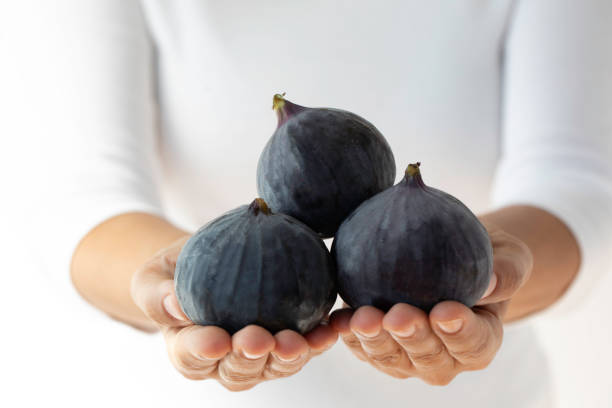 istock Woman Showing Fresh Figs 1428073951
