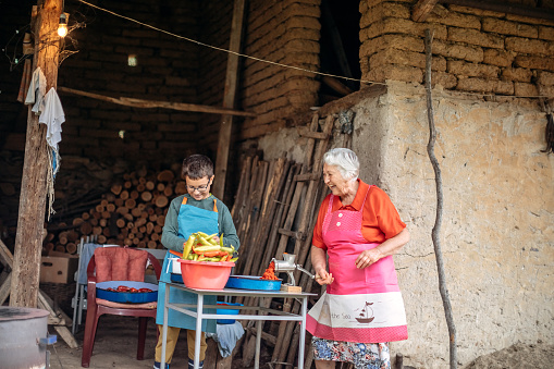 Senior woman preparing vegetables for grill together with grandson