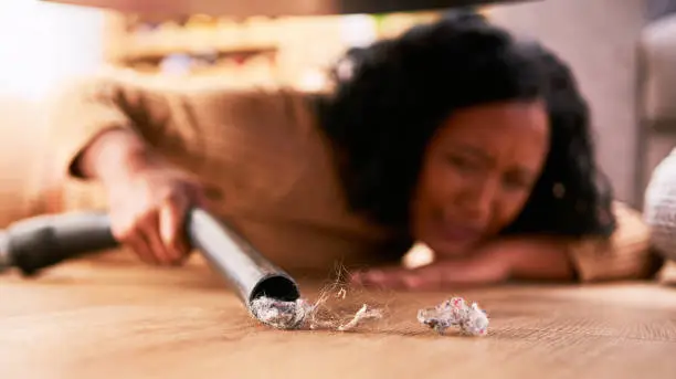 A woman with vacuum cleaner, cleaning dust under a couch and on floor. Close up of housework, housekeeping and cleaner using vacuum for dirt in living room at home. Housewife doing chores in a house