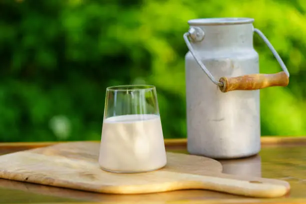 A glass of milk and an old metal milk can on a wooden table against the green defocused natural background