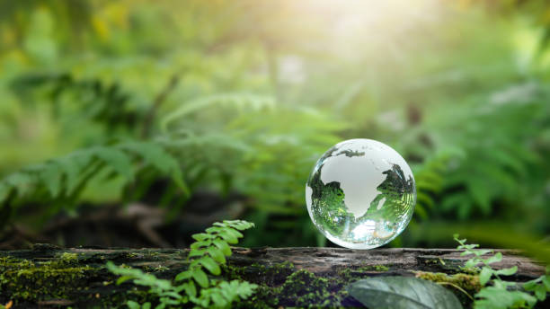 istock Environmental concept - world map crystal ball in green forest with rich nature. 1428078579