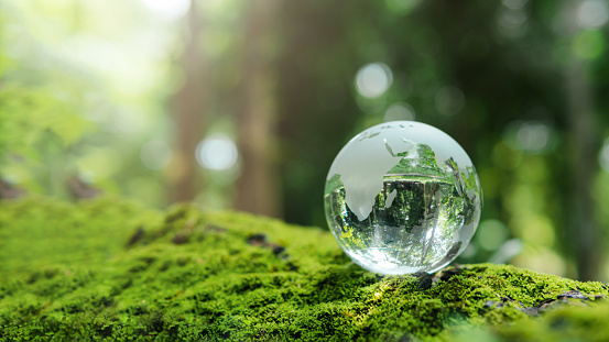 Environmental concept - world map crystal ball in green forest with rich nature.
