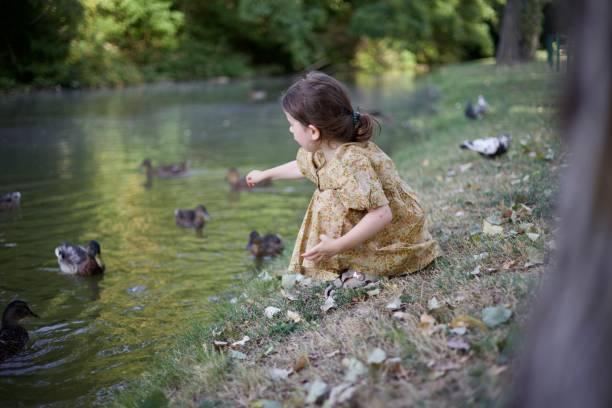 A laughing little girl with ducks in park from her back