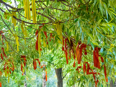 Wish tree with commemorative war ribbons. High quality photo