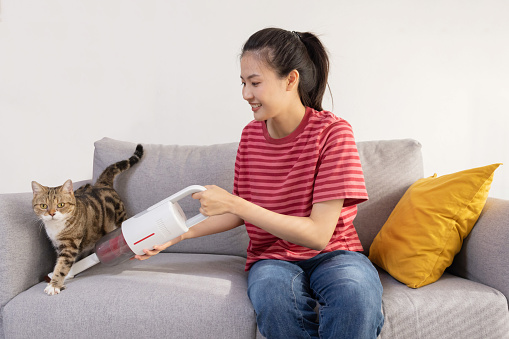 Asian Woman Using Vacuum  to Remove Cat Fur From the Living Room Sofa