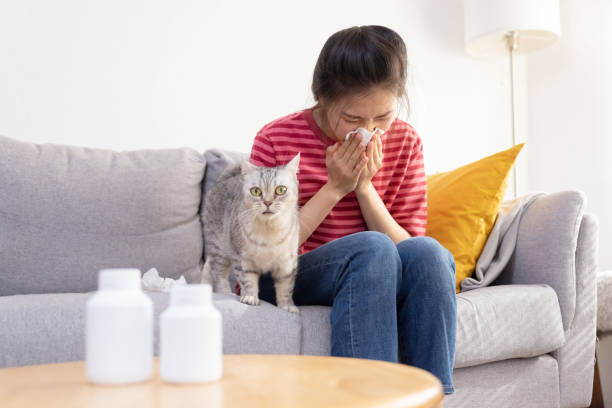 istock Woman Sneezing While Cuddle Her Cat  on Sofa Suffer From Cat Fur Allergy Symptom 1428085247