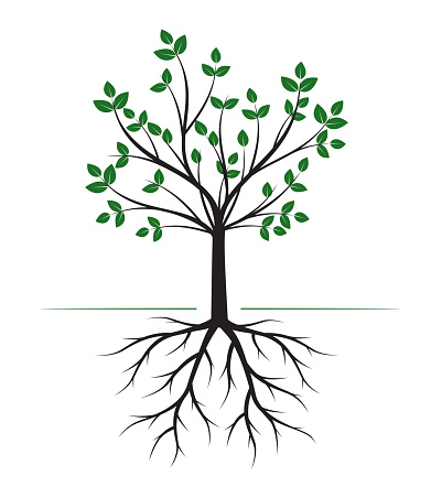 Free Download Of 概念のツリー ルートと草 Vector Graphic Free Download Of 概念のツリー ルートと草 Vector Graphic