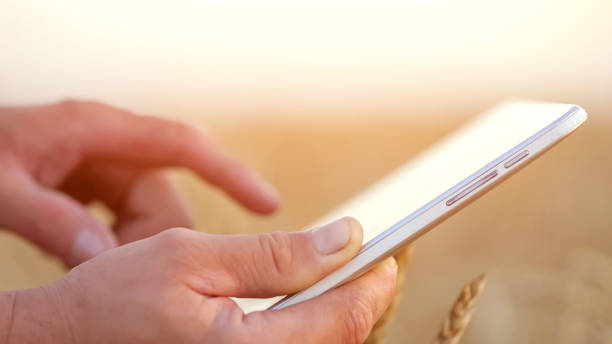 istock Farmer enters information on tablet about wheat harvest 1428087075