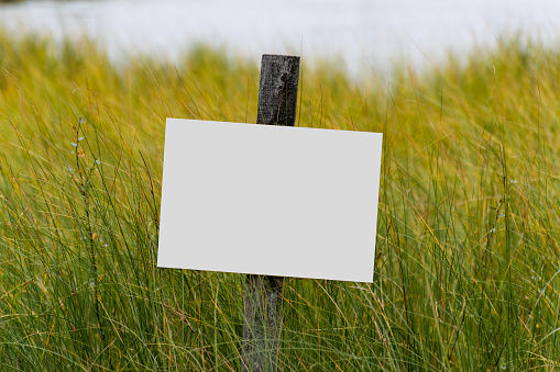 Blank white sign on a wooden pole among the green grass