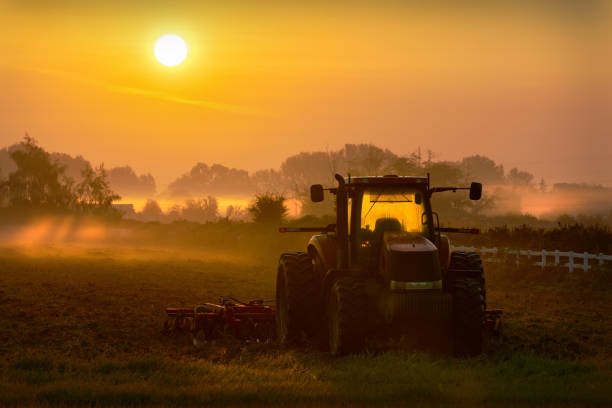 istock Foggy Morning Tractor Sunrise 1428102588