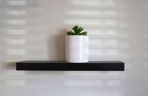 istock Succulent plant on a wooden floating shelf 1428104934