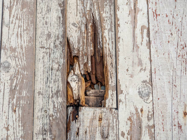 istock Boards with chipped paint. Old broken wooden boards. Background from boards. Abandoned place. Broken wooden items. 1428106481