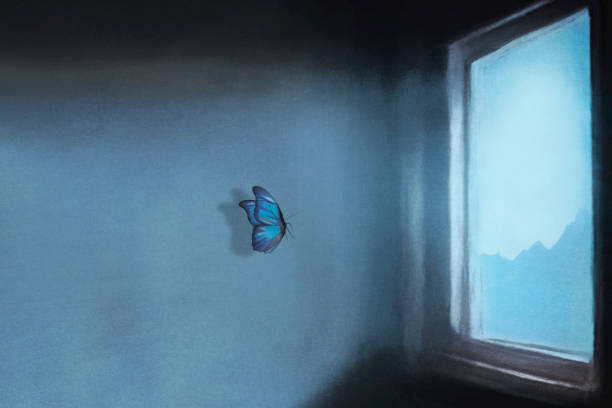 butterfly looks for the way out from a window of a house, the concept of freedom vector art illustration