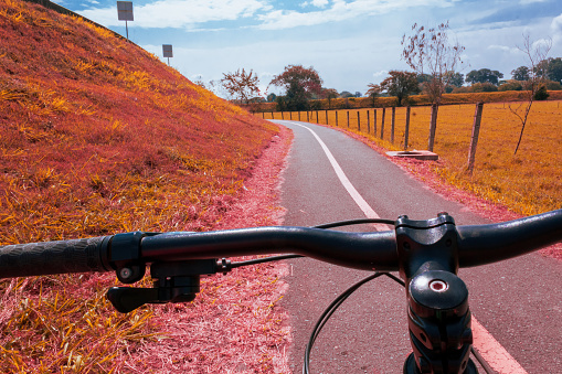 landscape with bicycle wheel rolling on beautiful pink and red road in nature with blue sky, unreal abstract, retouched.