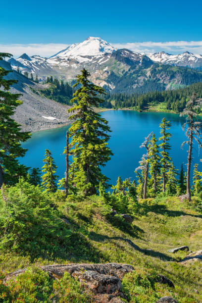 istock Mount Baker Wilderness Lake Washington USA 1428115920