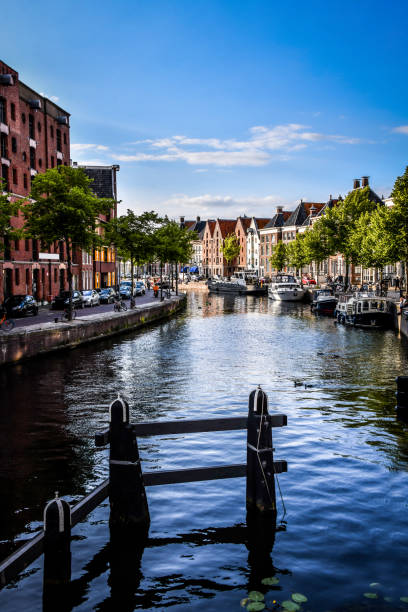 istock Beautiful Canal View In Groningen, The Netherlands 1428118420