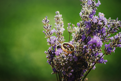 Wedding rings and fresh lavender